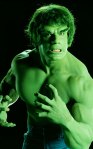 Phil "The Hulk" Hogan venomously denied eating genetically modified foods
